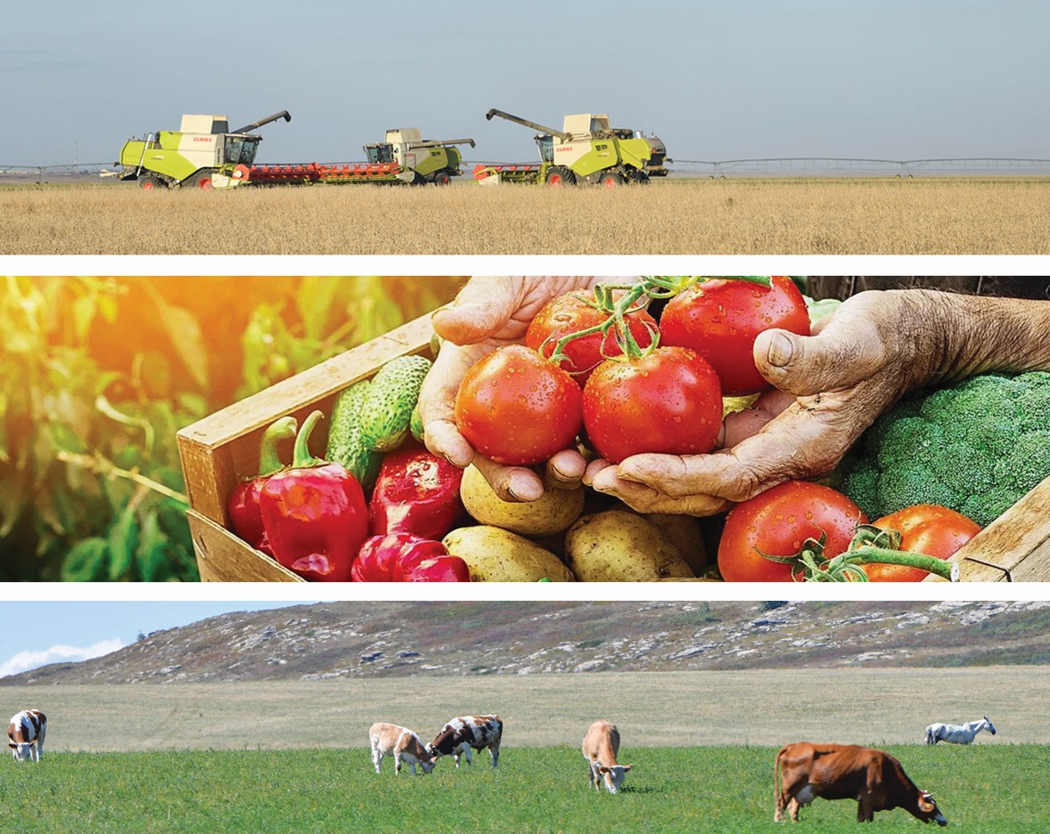 جەتى ايداعى جارقىن ىستەر