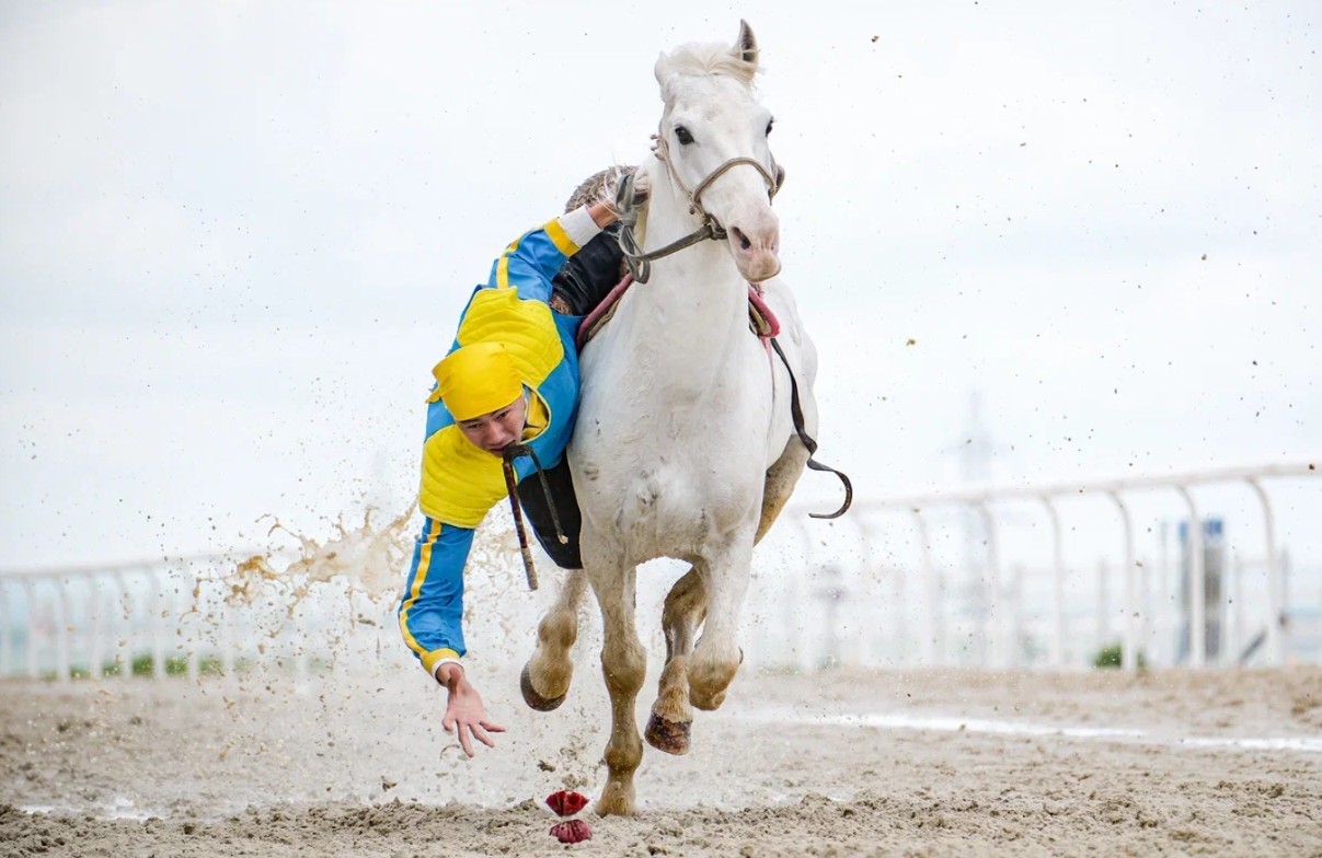 جۇيرىكتەر جارىسى