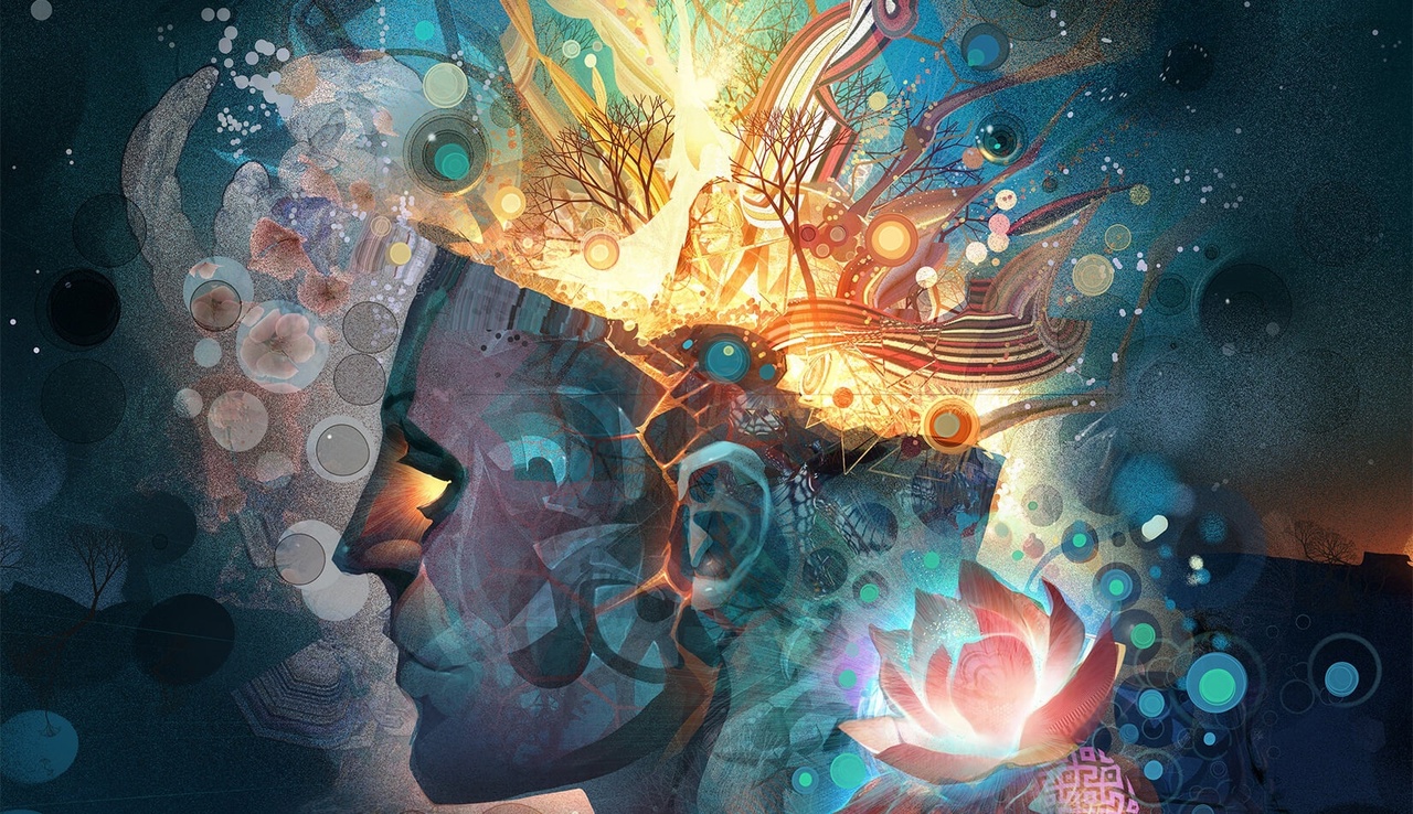 وعاش ويلار 2