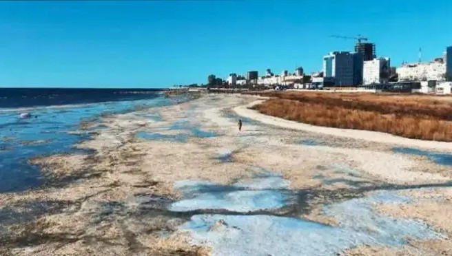 كاسپي جاعالاۋىنداعى 50 گا جەر مەملەكەتكە قايتارىلدى