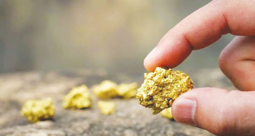 اقمولا وبلىسىندا زاڭسىز التىن وندىرگەن قىلمىستىق توپ انىقتالدى