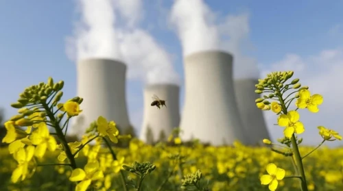 اتوم ەنەرگەتيكاسى قازاقستاننىڭ تۇراقتى بولاشاعى ءۇشىن قاجەت