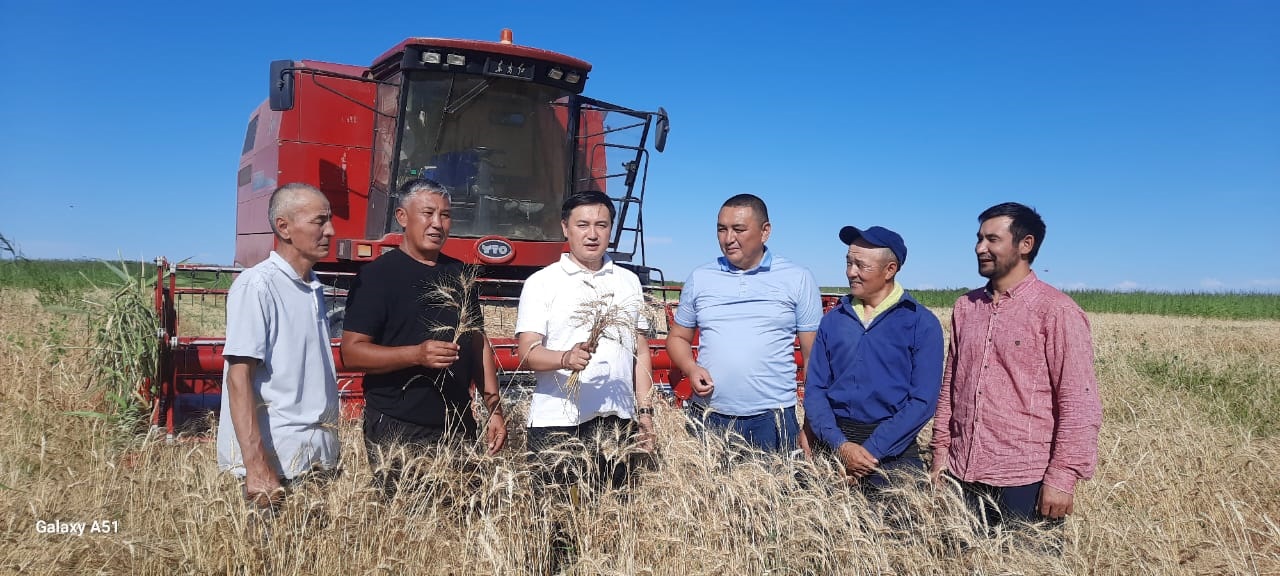 ەسەلى ەڭبەكتىڭ ناتيجەسى