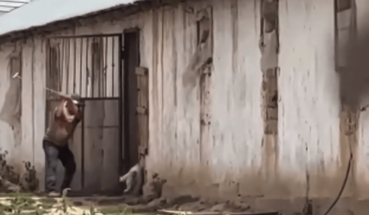 شىمكەنتتە يتتەردى اياۋسىز ساباعان قىزمەتكەردىڭ ۇستىنەن قىلمىستىق ءىس قوزعالدى