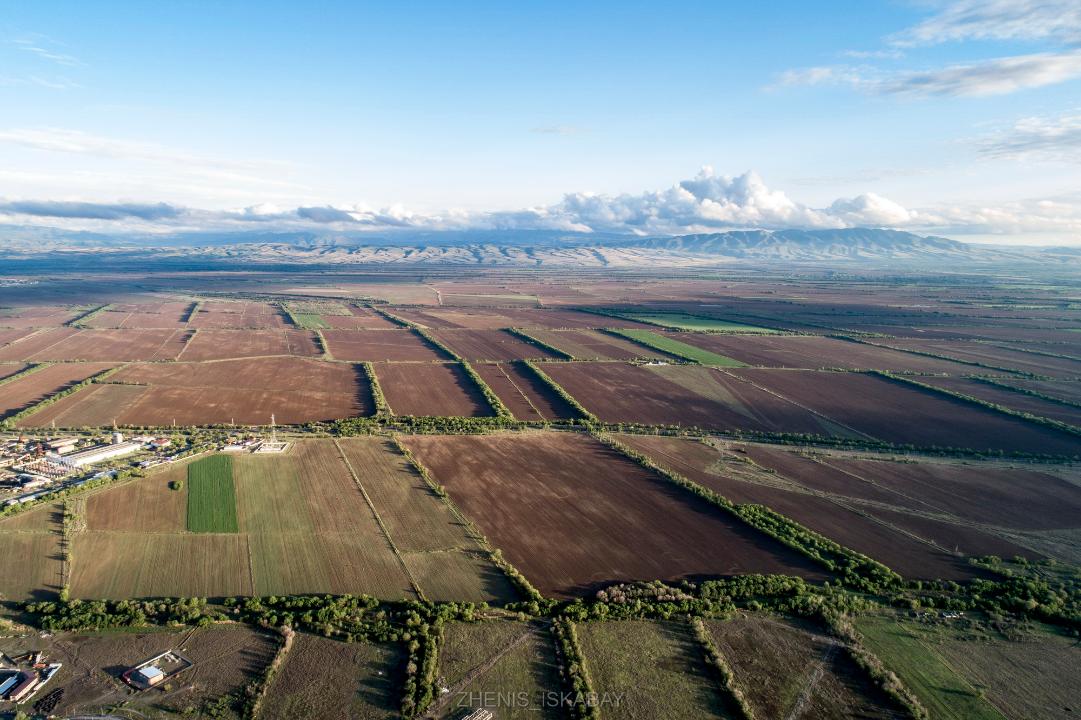 جەتىسۋدا «زاڭ بويىنشا جەر» پيلوتتىق جوباسى ىسكە قوسىلادى
