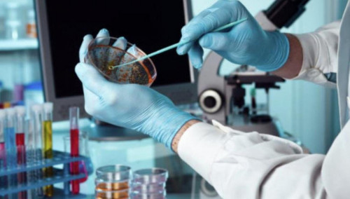 الماتى وبلىسىنداعى ۇلكەن اقسۋ اۋىلىندا  كارانتين ەنگىزىلدى