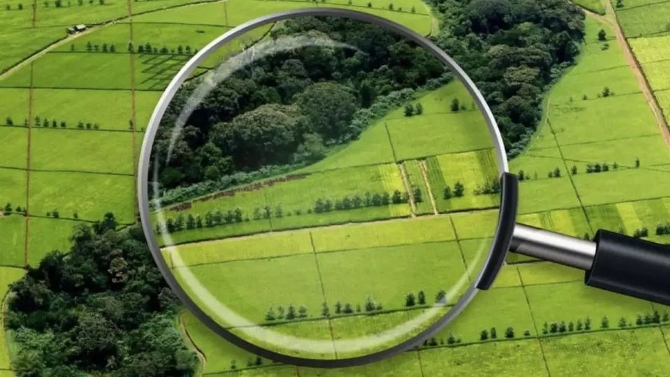 جامبىل وبلىسىندا يگەرىلمەگەن  2,7 مىڭ گەكتار جەر مەملەكەتكە قايتارىلدى