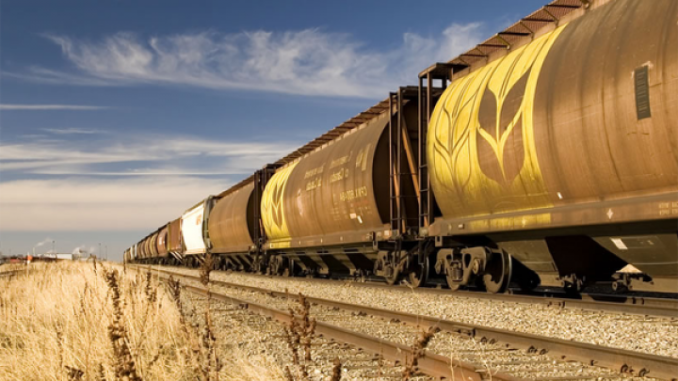 رەسەيدەن قازاقستانعا 8 ۆاگون بيداي كىرگىزبەك بولعانداردىڭ جولى كەسىلدى