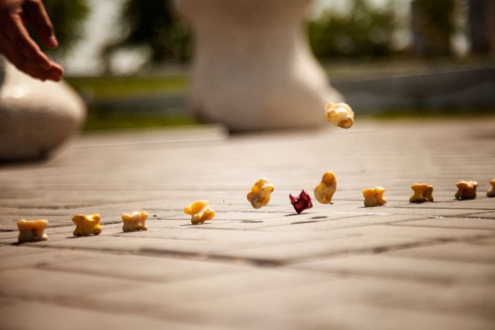 بۇگىن اسىق اتۋدان 8 سپورتشى ەل نامىسىن قورعايدى