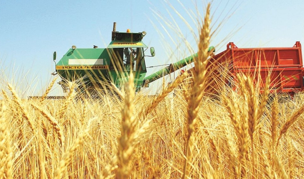 فەرمەرلەرگە استىقتى كەپتىرۋ ءۇشىن ديزەل مەن سۇيىتىلعان گاز ءبولىندى