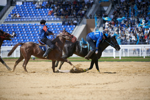 كوشپەلىلەر ويىندارى: بۇگىن ەل نامىسىن كىمدەر قورعايدى