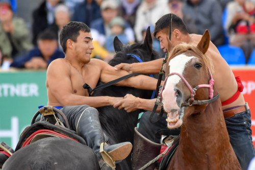كوشپەلىلەر ويىندارى: بۇگىن ەل نامىسىن كىمدەر قورعايدى