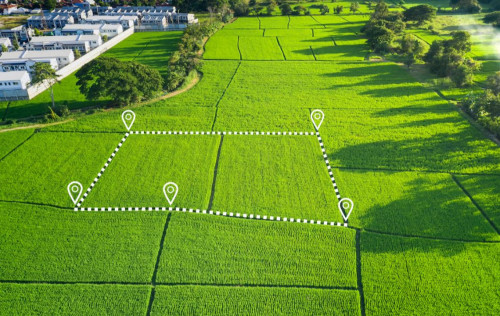 قۇنى 500 ملن تەڭگەگە جۋىق جەر تەلىمدەرى مەملەكەتكە قايتارىلدى