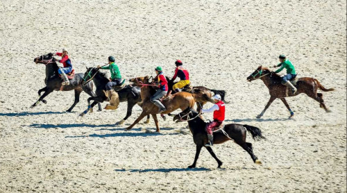 دۇنيەجۇزىلىك كوشپەلىلەر ويىندارى: ەڭ كوپ كورەرمەن جيناعان جارىس ءتۇرى