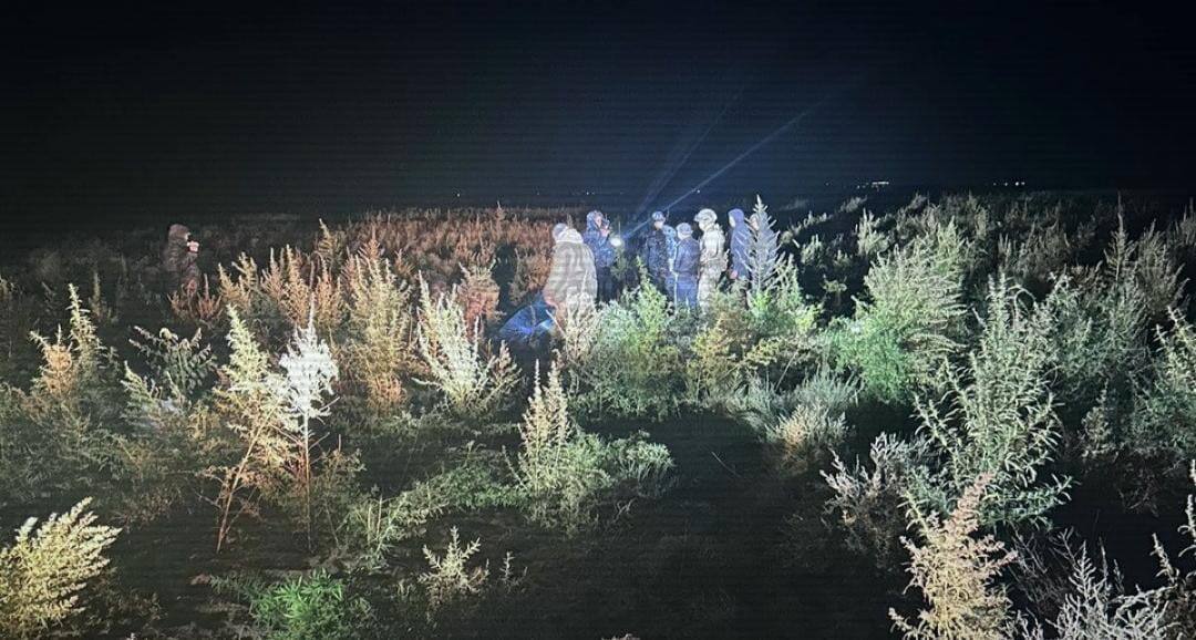 قاراسورا-2024: شۋ اۋدانىنىڭ تۇرعىنىنان 192 كەلى قاراسورا تاركىلەندى