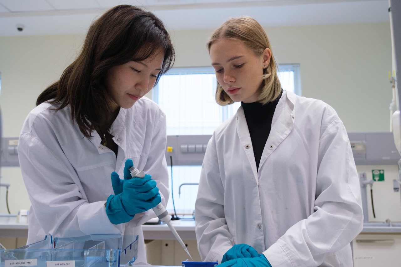 قازاقستانداعى ەنداۋمەنت: جوعارى ءبىلىم بەرۋ سالاسىنداعى بالامالى جولدار