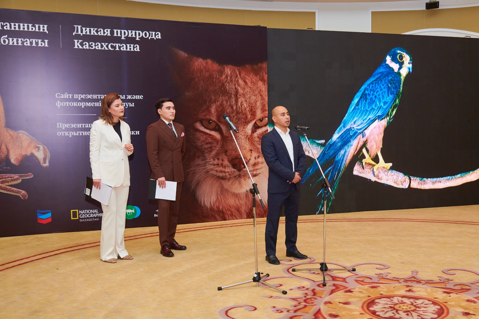 تابيعاتپەن تىلدەستىرەتىن جوبا