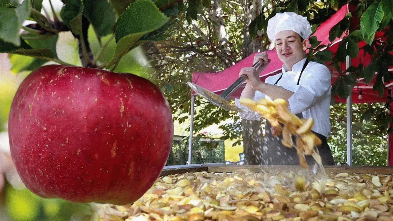 عالام عاجاپتارى: كومپوتتان رەكورد تىركەلدى