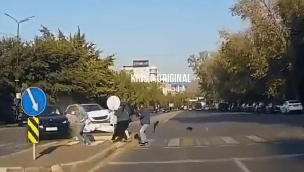 الماتىدا Lexus كولىگى جاياۋ جۇرگىنشىلەردى قاعىپ كەتكەن