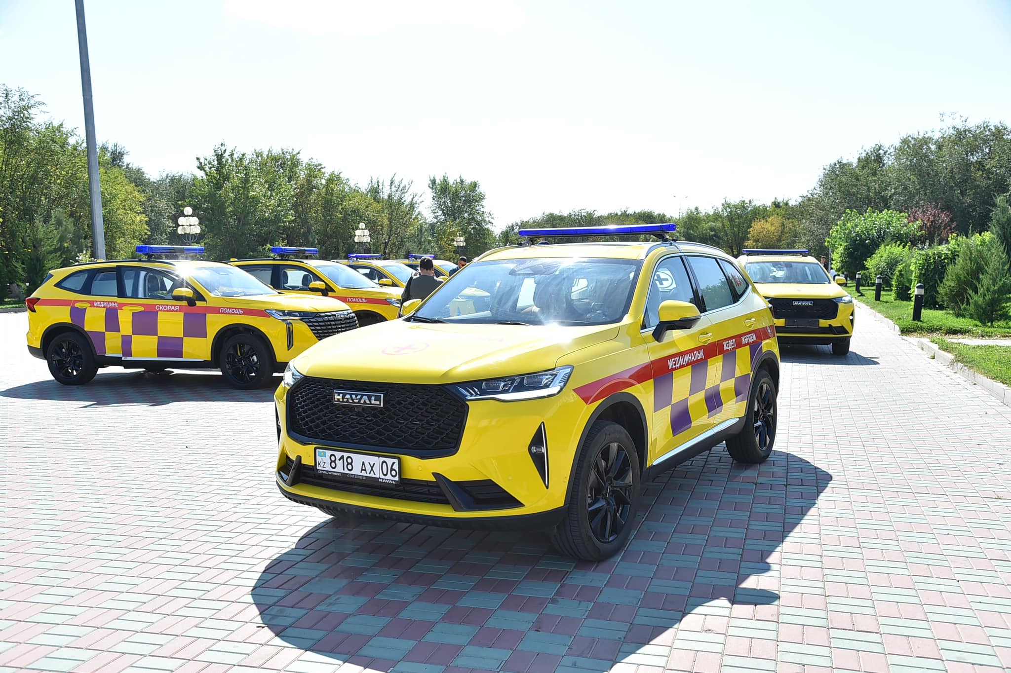 مەديتسينا سالاسىنا – 40 كولىك