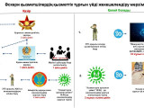 «Askerge shanyraq»: اسكەري قىزمەتشىلەردىڭ تۇرعىن ءۇيدى جەكەشەلەندىرۋ ۋاقىتى قىسقارادى