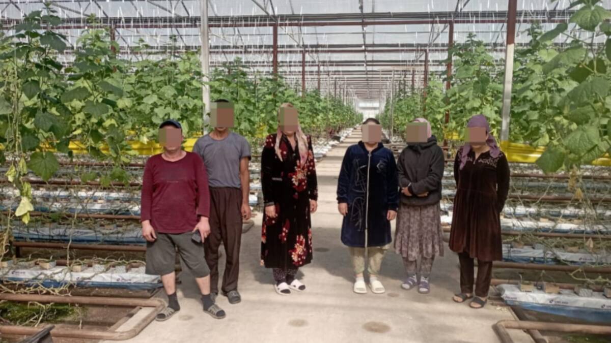 پوليتسەيلەر قازاقستاندا زاڭسىز جۇرگەن 7 شەتەلدىكتى ۇستادى