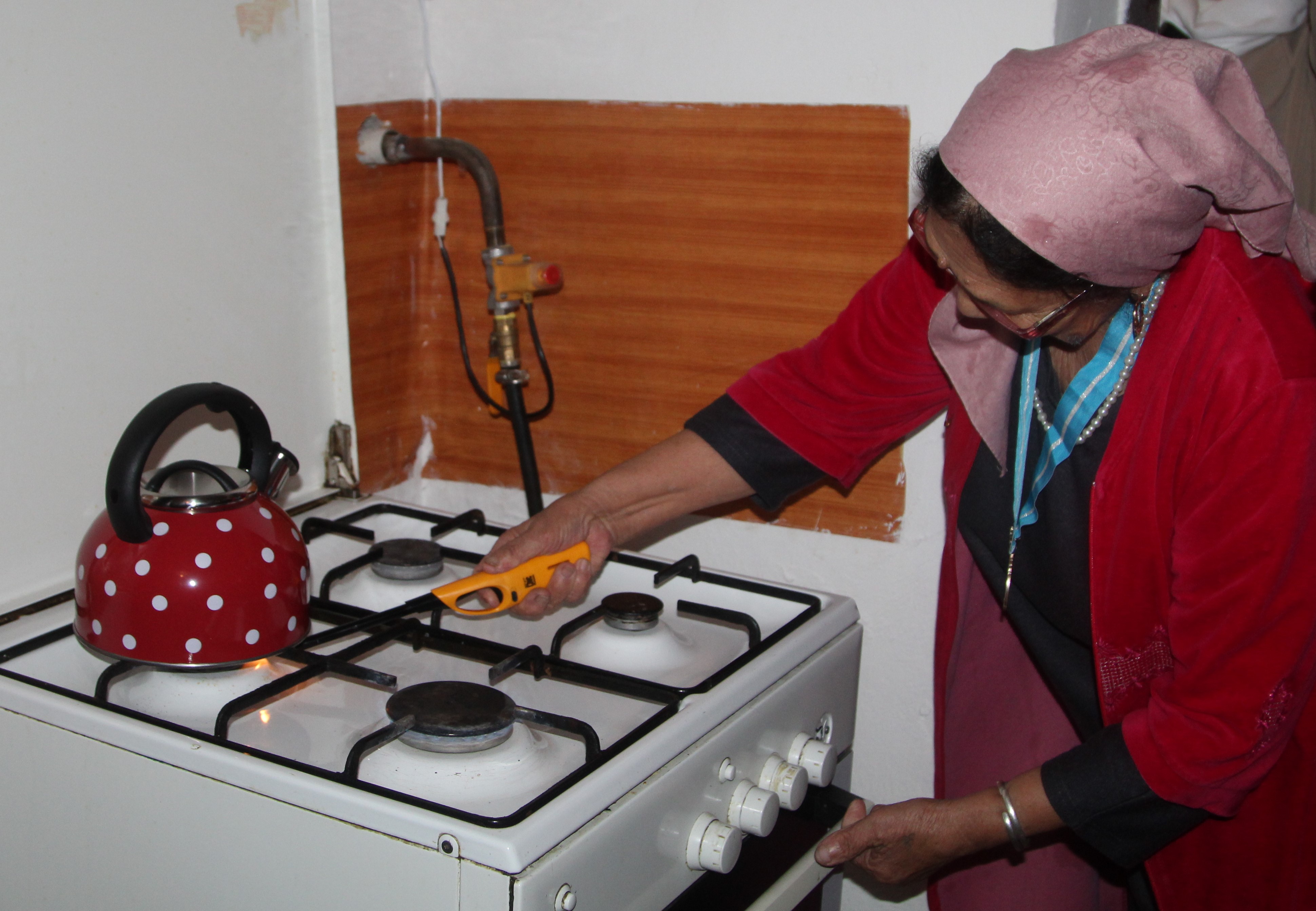 كوگىلدىر وتىنمەن قامتۋ ۇلعايدى