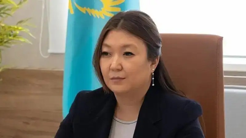 بيىل سۋيتسيد جاساۋعا نيەتتەنۋ ماسەلەلەرى بويىنشا 1 237 ءوتىنىش ءتۇستى - دينارا زاكيەۆا