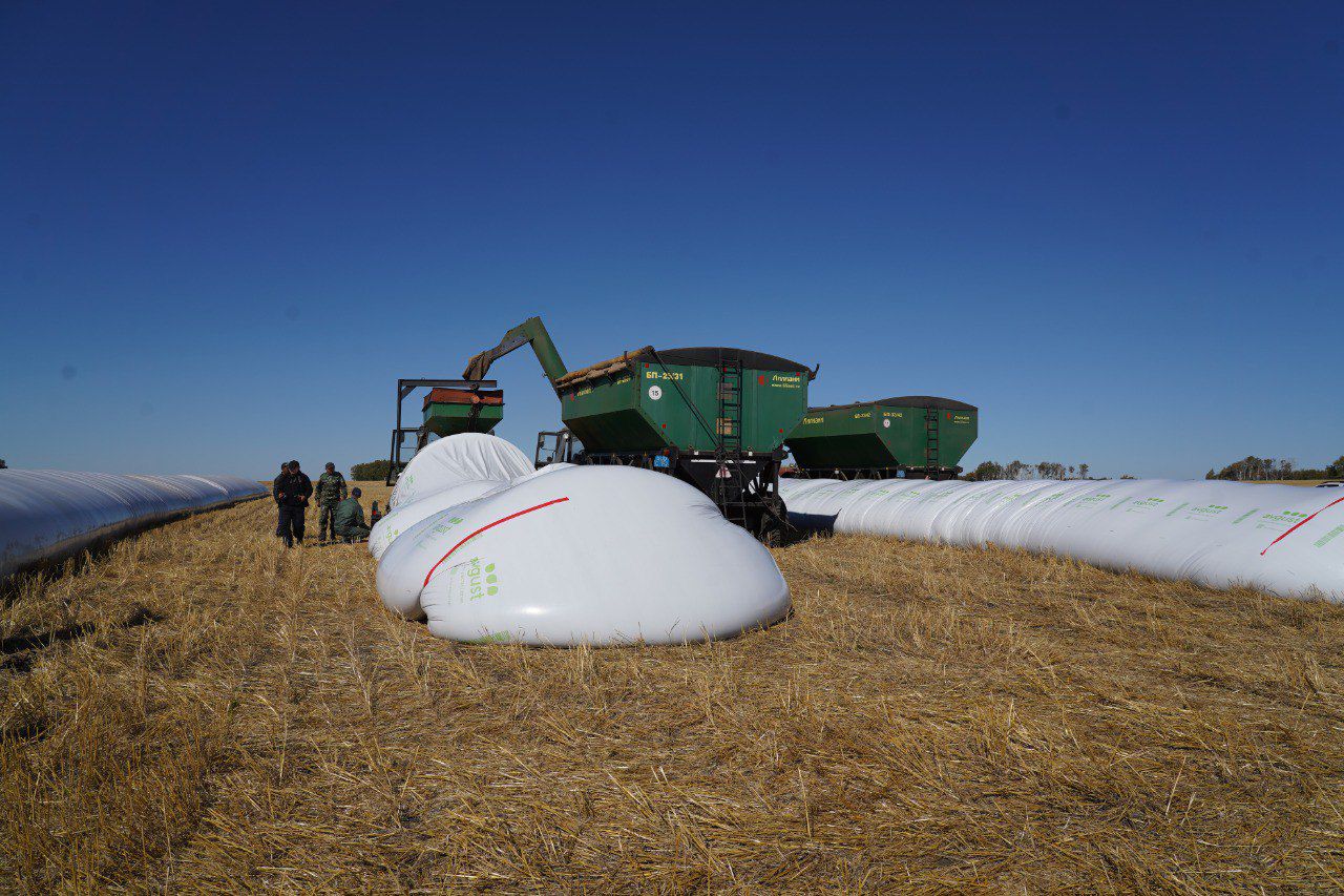 ەگىنجايدان ەسكەن لەپ