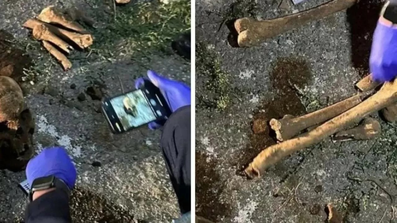 الماتىدا ۋنيۆەرسيتەت اۋماعىنان ادام سۇيەگى تابىلدى