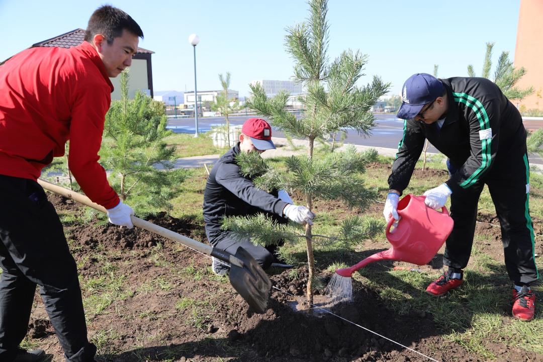 تازا قازاقستان: قۇتقارۋشىلار 100-دەن استام اعاش كوشەتىن وتىرعىزدى