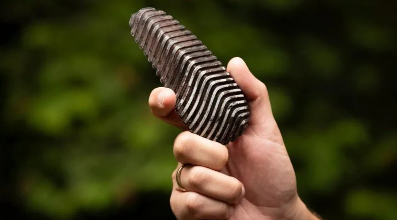 عالام عاجاپتارى: ورمان قورعاۋشى جاساندى ينتەللەكت