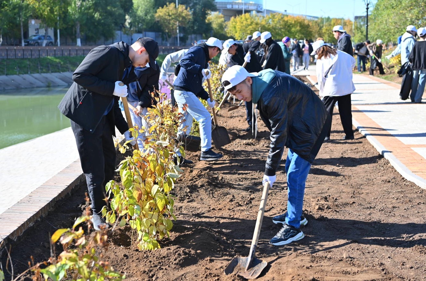 تابيعاتتى ايالاۋدىڭ ۇلگىسى