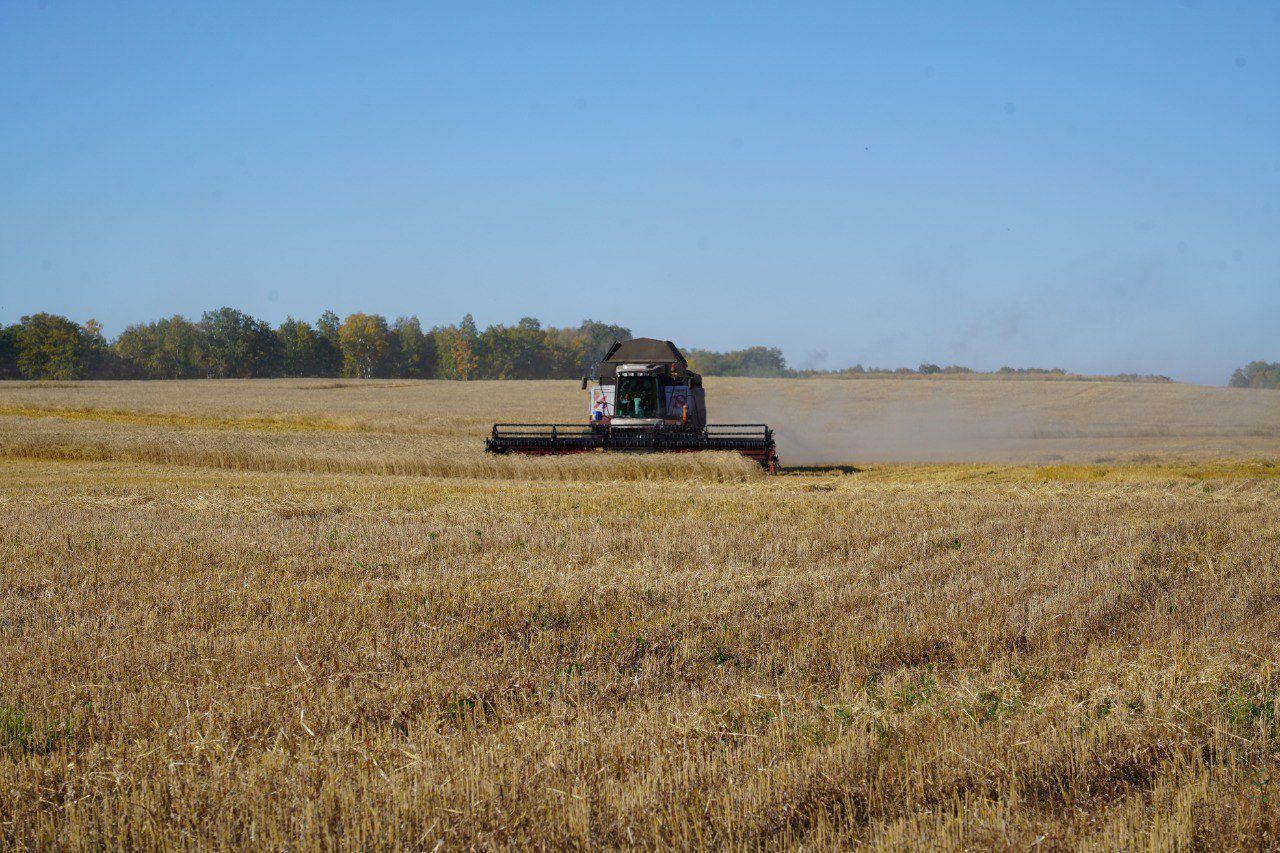 ىرىزدىق جورىعى قىزعان شاق