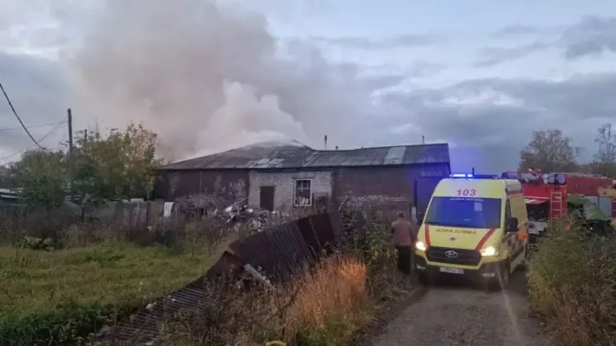 «ۇيگە قايتادان كىرگەن»: پاتەر ورتىنەن كەيۋانا قازا بولدى