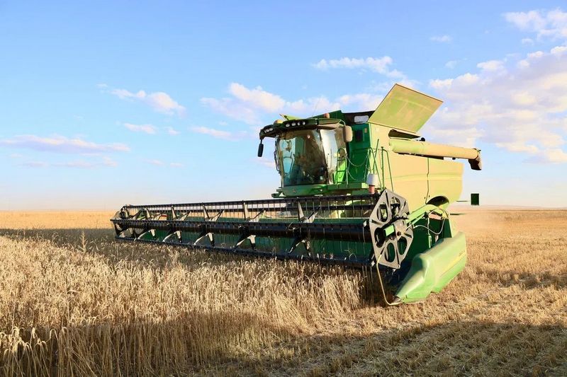 قامباعا استىق تولادى