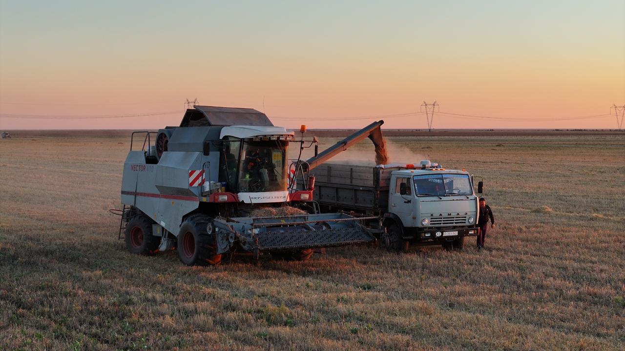 كوكتەمگى ەگىس جۇمىستارىن قارجىلاندىرۋ بيىل باستالادى