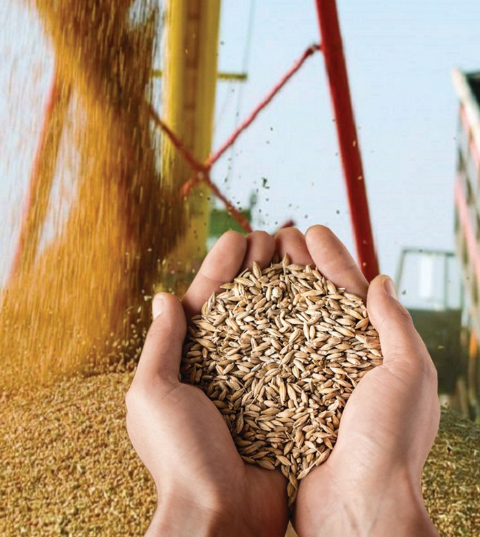 ەگىن وراعى اياقتالۋعا جاقىن