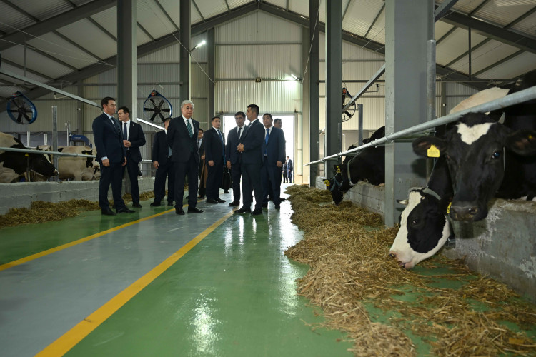 مەملەكەت باسشىسى «بورتە ميلكا» تاۋارلى ءسۇت فەرماسىمەن تانىستى