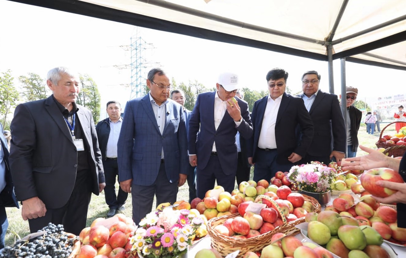 ايگىلى اپورت قايتا جاڭعىرادى