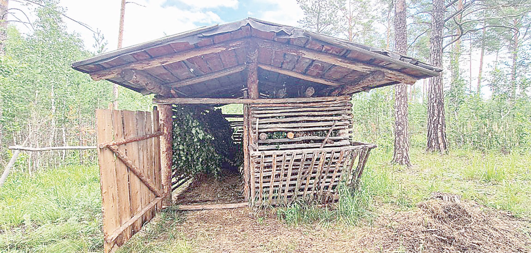 اڭ-قۇستارعا ازىق دايىندالىپ جاتىر