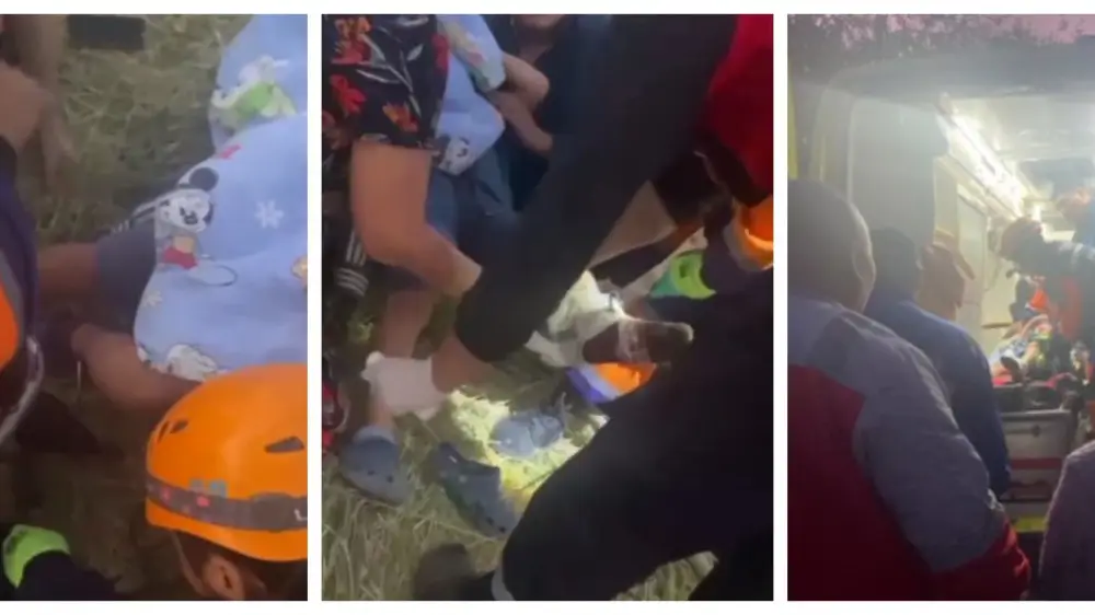 جەتى جاسار بالانىڭ اياعىنا ايىردىڭ ءتىسى كىرىپ كەتكەن