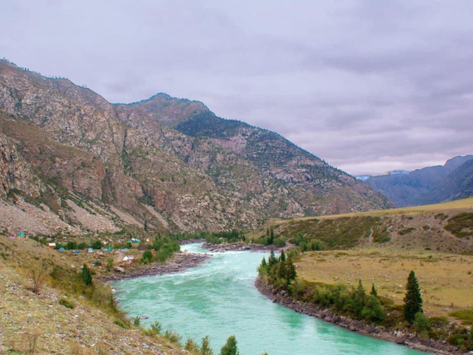 جەتىسۋ وبلىسىندا 221 گەكتار جەر مەملەكەتكە قايتارىلدى