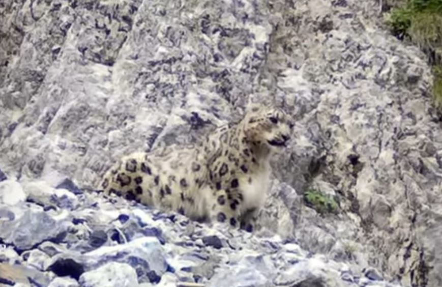 الماتى وبلىسىندا قار بارىسى فوتوتۇزاققا ءىلىندى