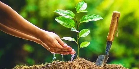 استانا مەكتەپتەرىندە 2500 كوشەت وتىرعىزىلدى