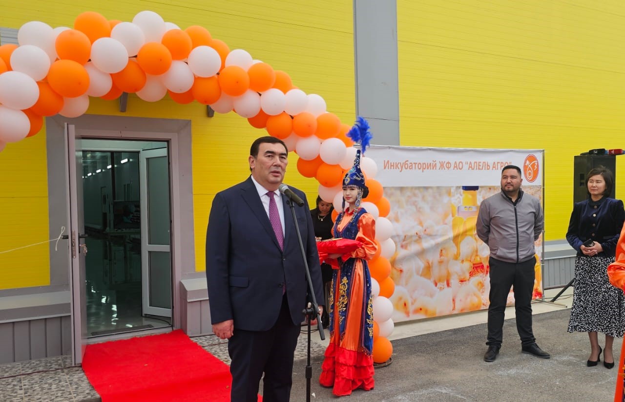 38 ميلليون بالاپان شىعارادى