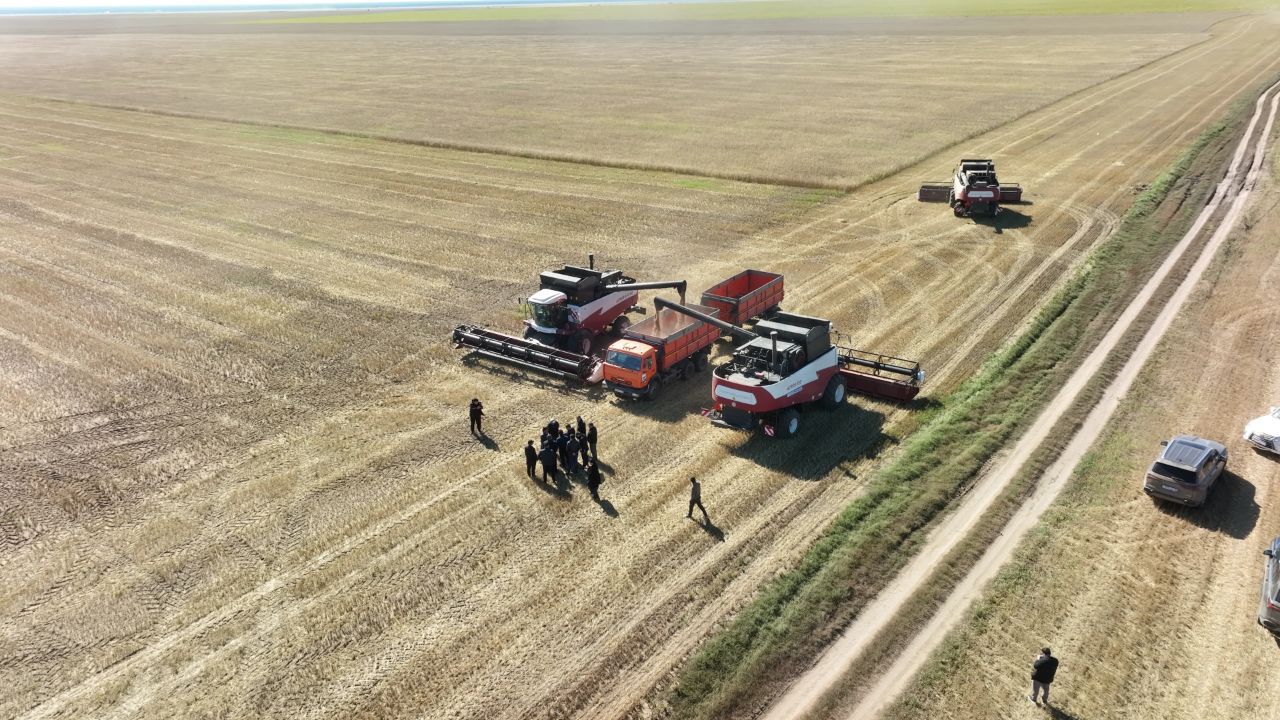 ماڭداي تەردىڭ جەمىسى