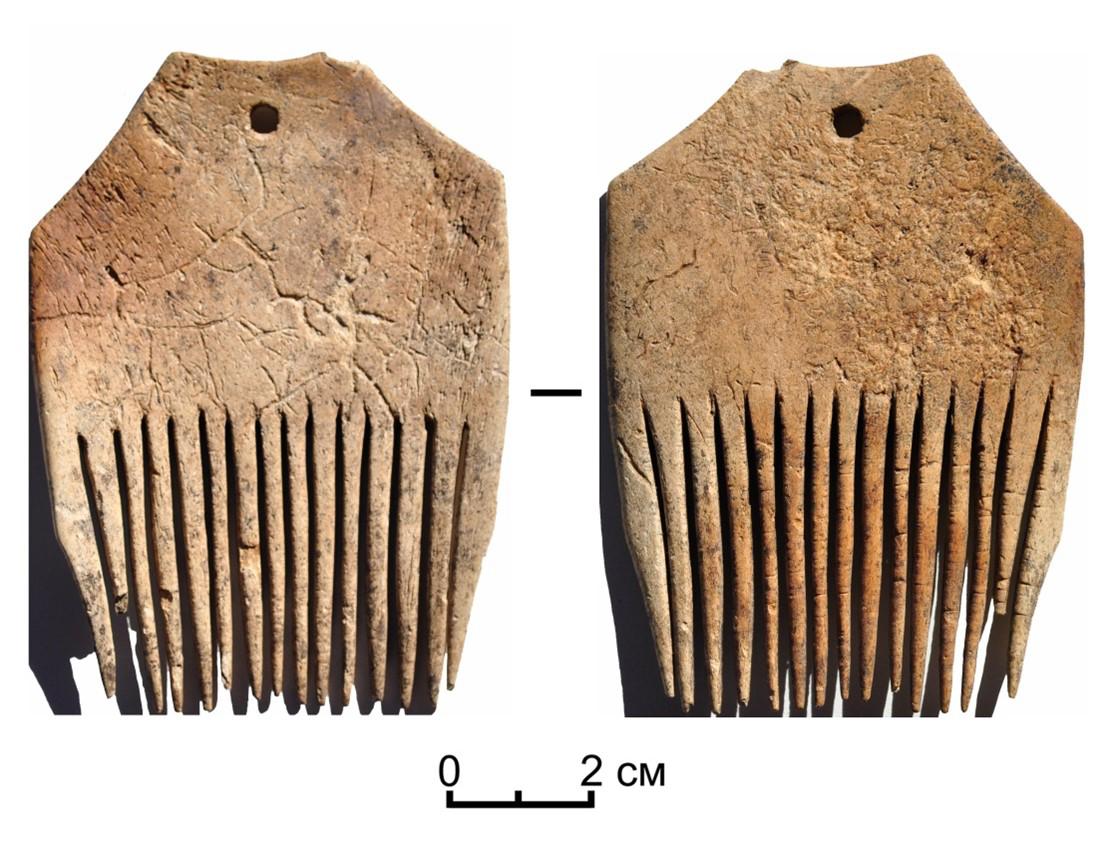 سۇيەك تاراق