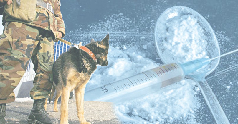 ەسىرتكىگە قارسى كۇرەس تولاستامايدى