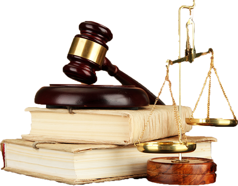 جوعارعى سوت زەينەتكەردىڭ مۇراگەرىنىڭ قۇقىعىن قورعادى